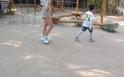 俄罗斯Zoom人与Zoom牛